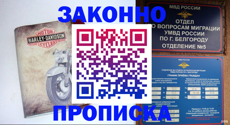 прописка для школы в Сунже